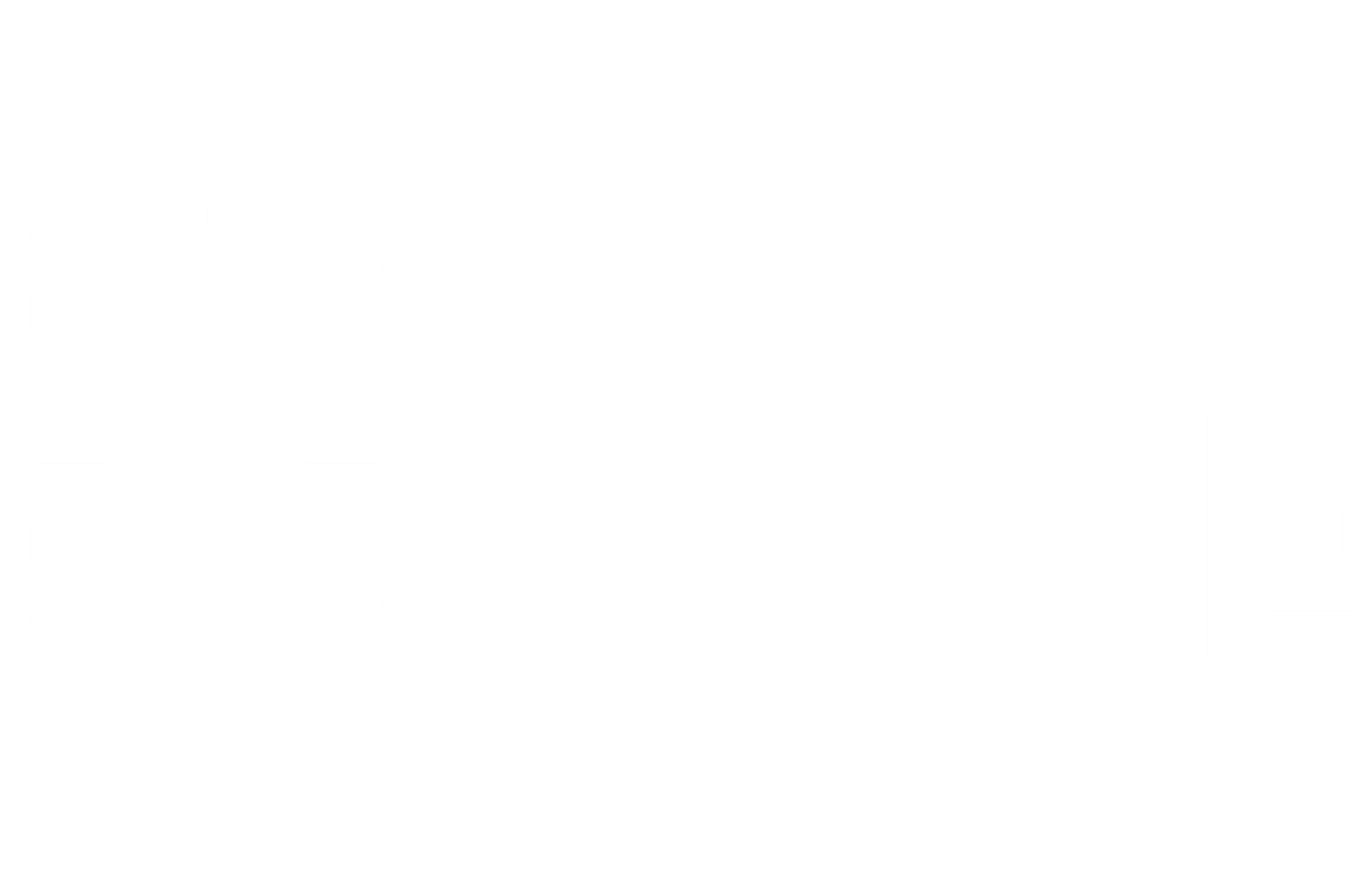 logo TAME_Blanc